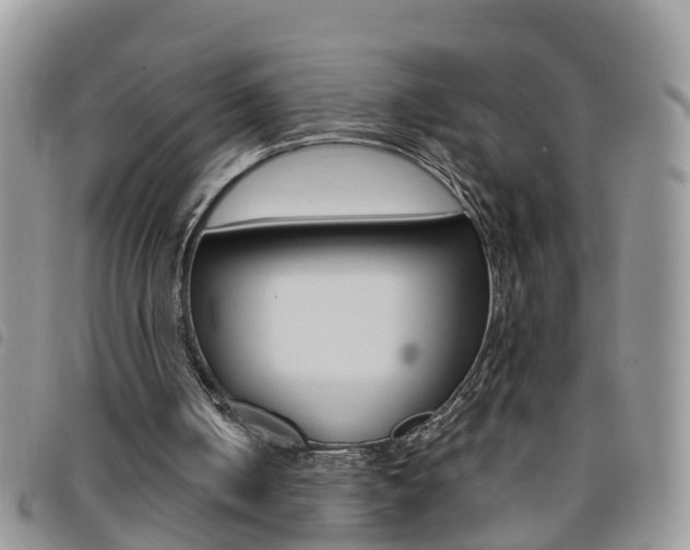 X0000096190050200801181018