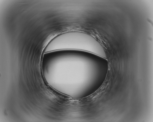 X0000096190052200801181018
