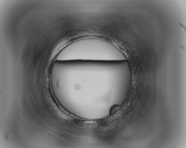 X0000096190053200801181018