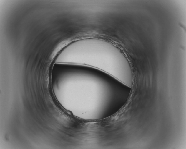 X0000096190054200801181018