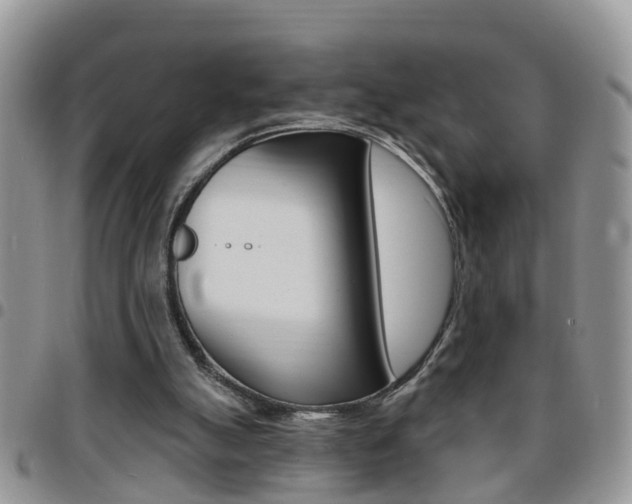 X0000096190055200801181018