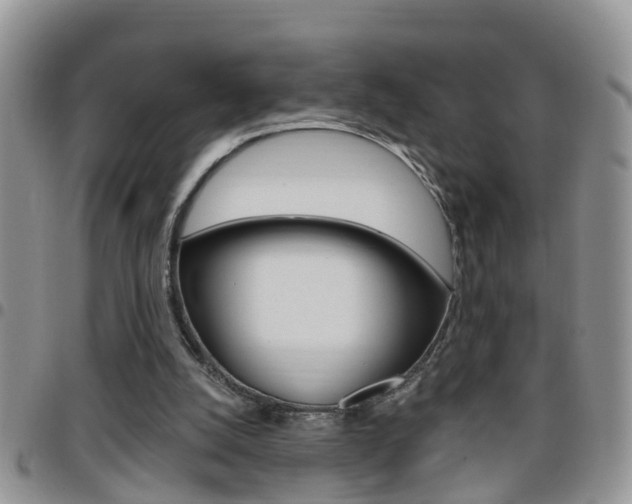 X0000096190056200801181018