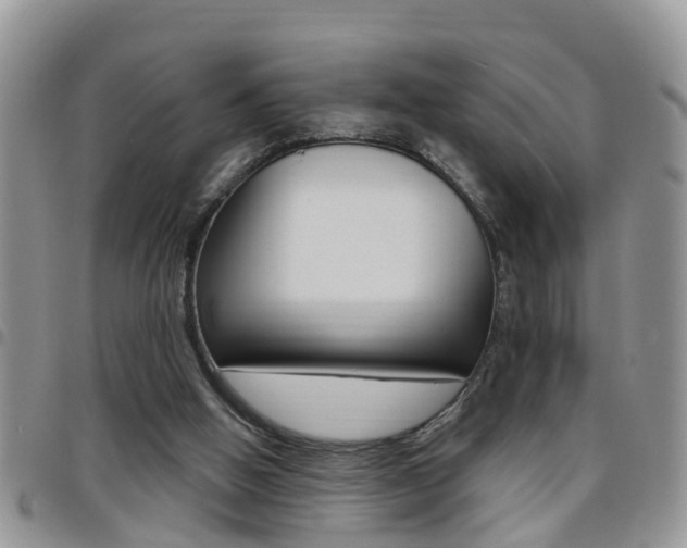 X0000096190058200801181018