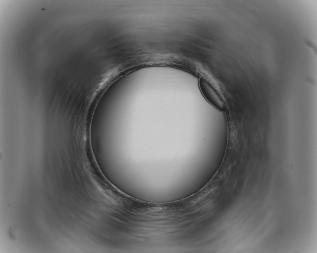 X0000096190059200801181018