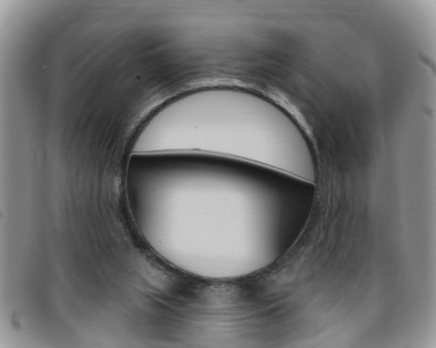 X0000096190063200801181018