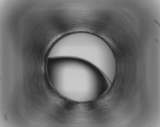 X0000096190064200801181018