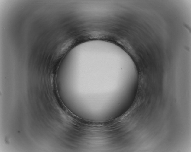 X0000096190066200801181018