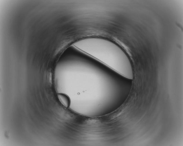X0000096190067200801181018