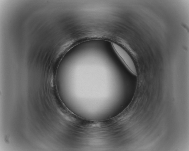 X0000096190068200801181018