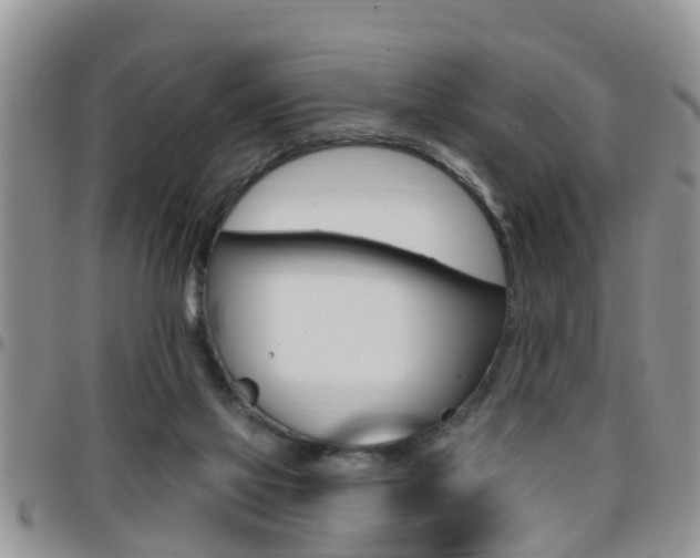 X0000096190069200801181018