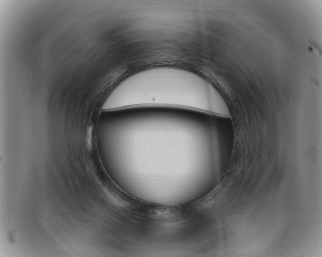 X0000096190070200801181018