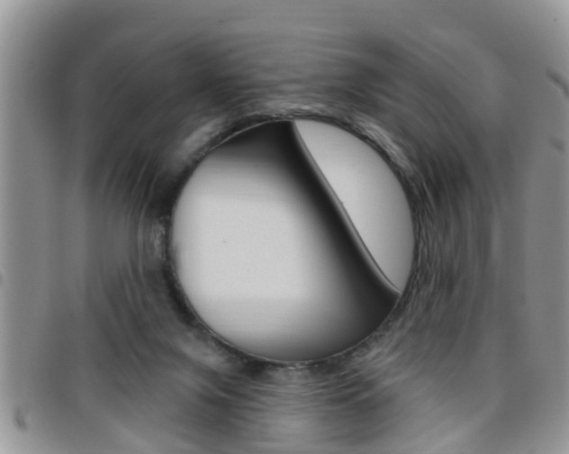 X0000096190071200801181018