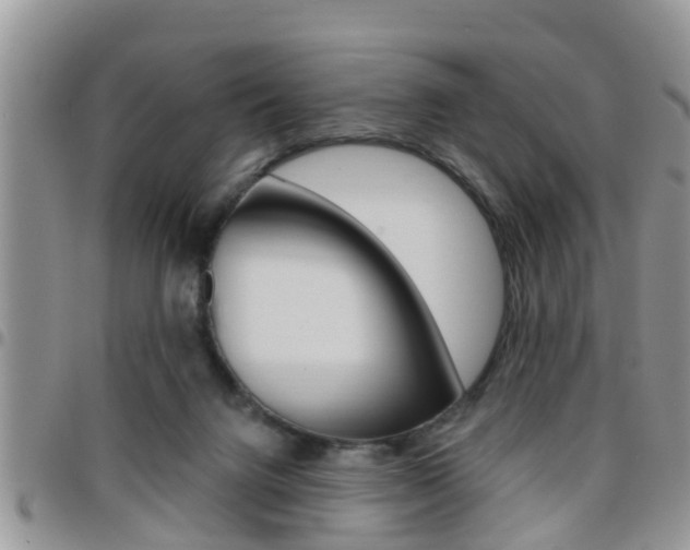 X0000096190072200801181018