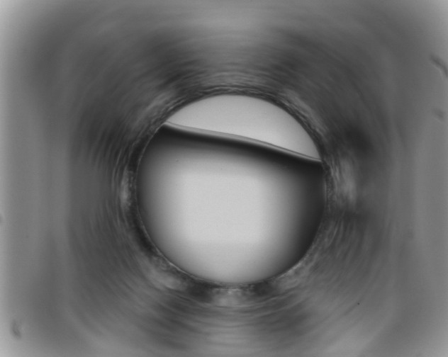 X0000096190074200801181018