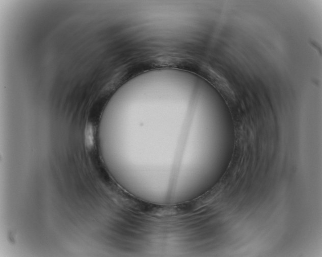 X0000096190075200801181018