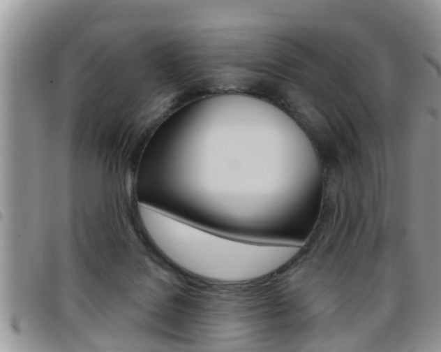 X0000096190076200801181018