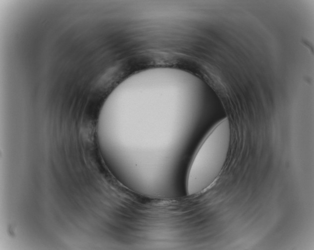 X0000096190078200801181018