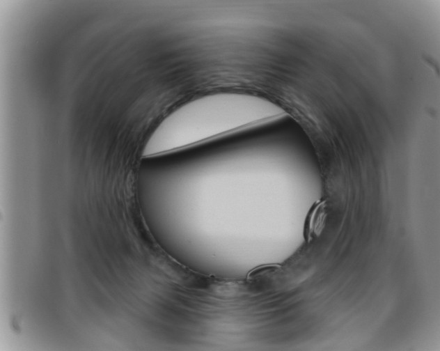 X0000096190079200801181018
