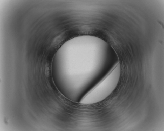 X0000096190080200801181018
