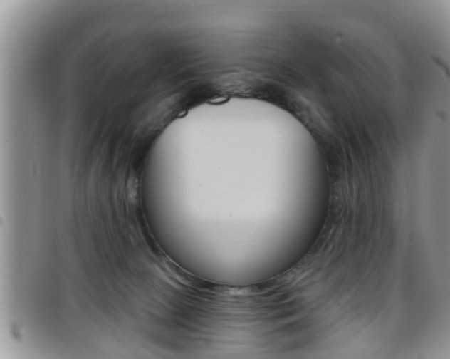 X0000096190081200801181018