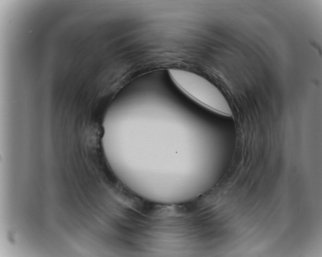 X0000096190083200801181018