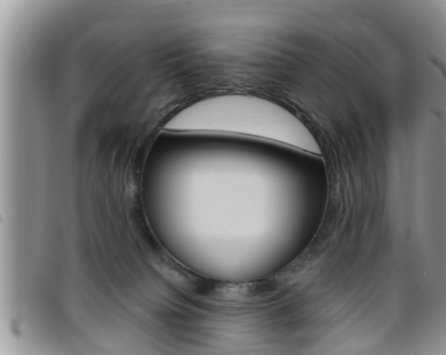 X0000096190084200801181018