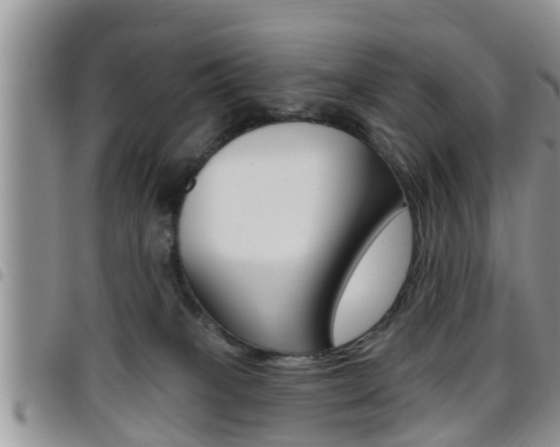 X0000096190085200801181018