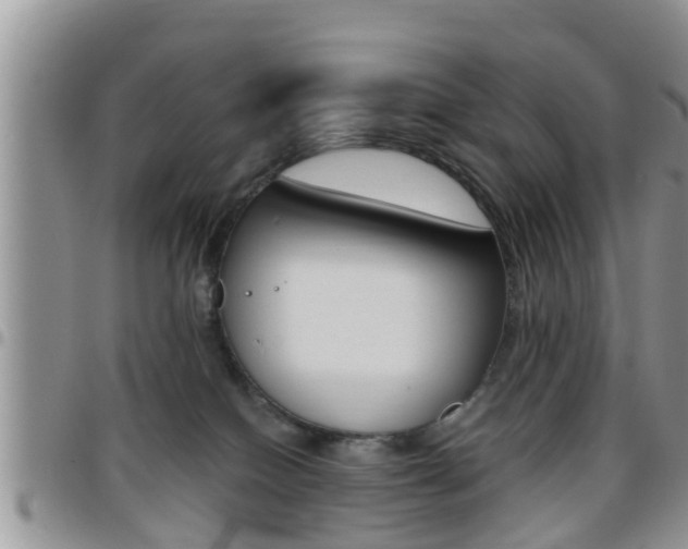 X0000096190086200801181018