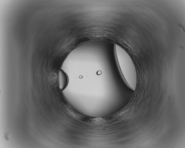 X0000096190087200801181018