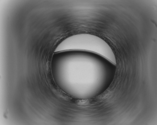 X0000096190088200801181018