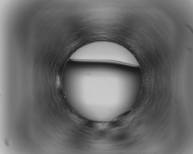X0000096190089200801181018