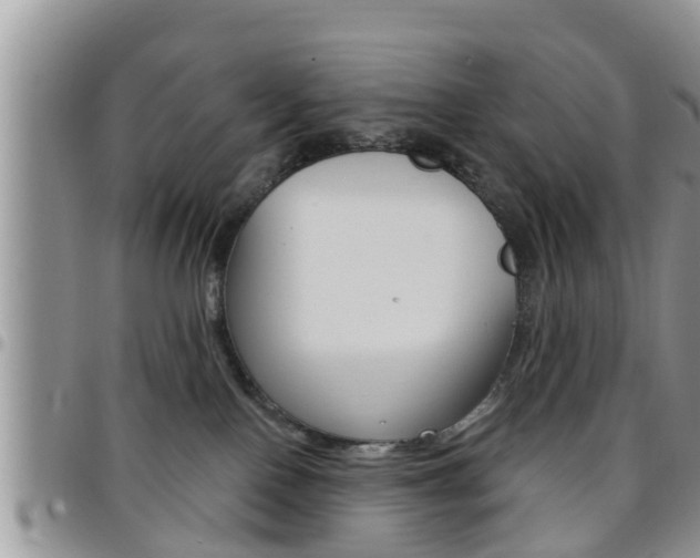 X0000096190090200801181018