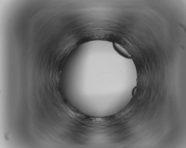 X0000096190091200801181018