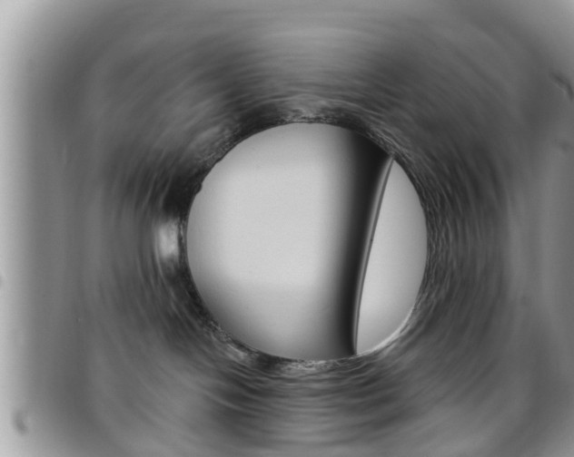 X0000096190094200801181018