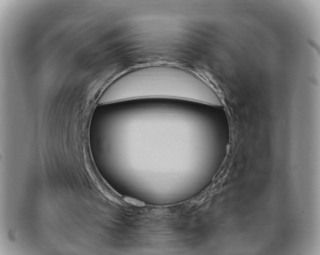 X0000096190097200801181018
