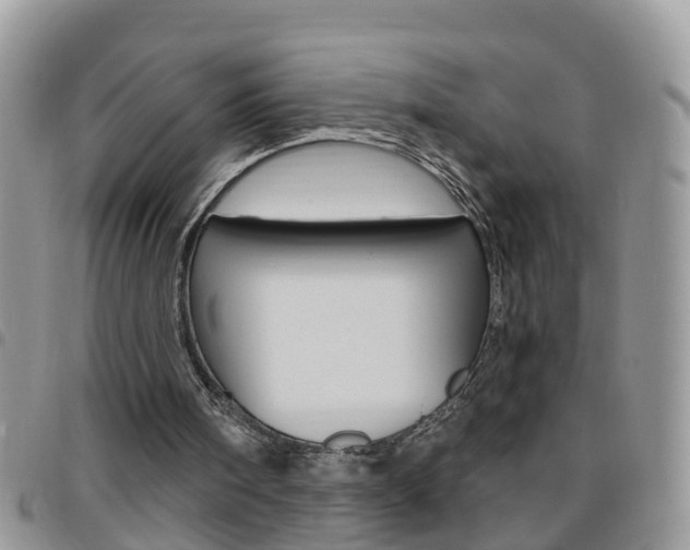 X0000096190098200801181018