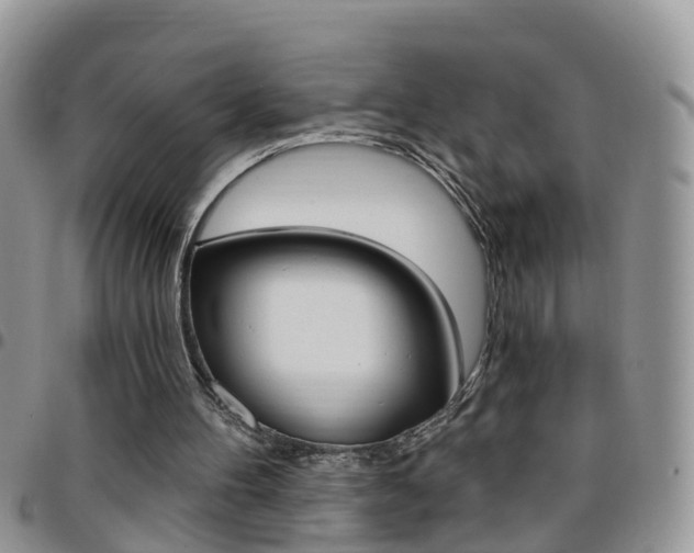 X0000096190100200801181018