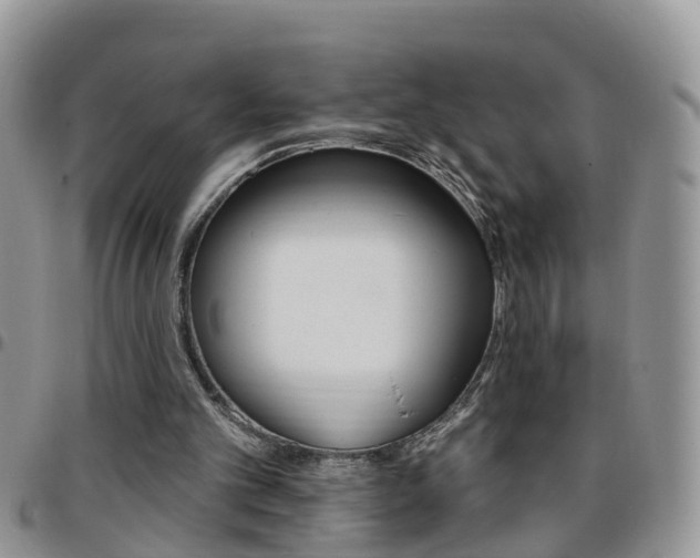 X0000096190101200801181018