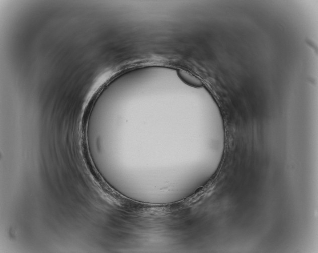 X0000096190102200801181018