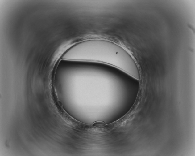 X0000096190103200801181018