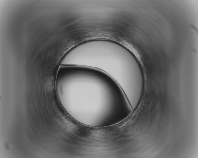 X0000096190105200801181018