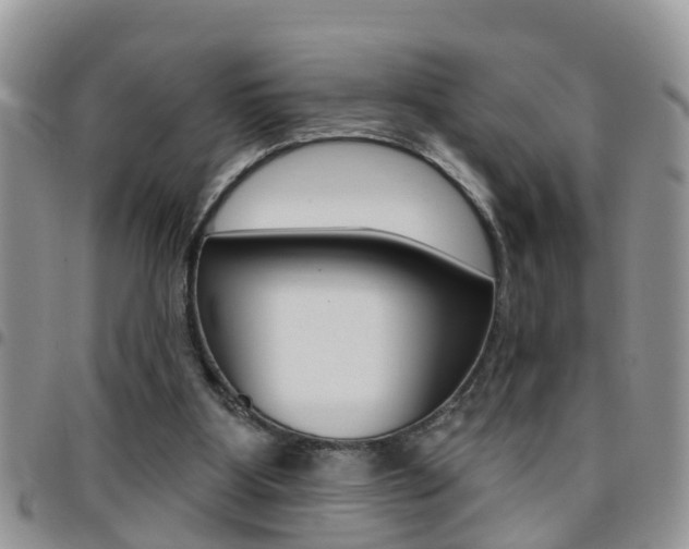 X0000096190107200801181018