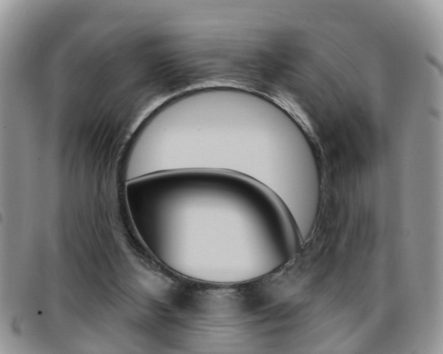 X0000096190108200801181018