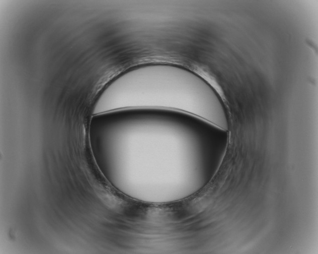 X0000096190109200801181018