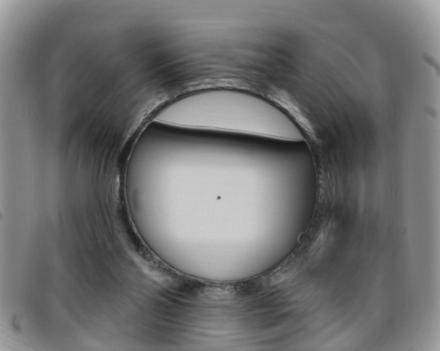 X0000096190110200801181018