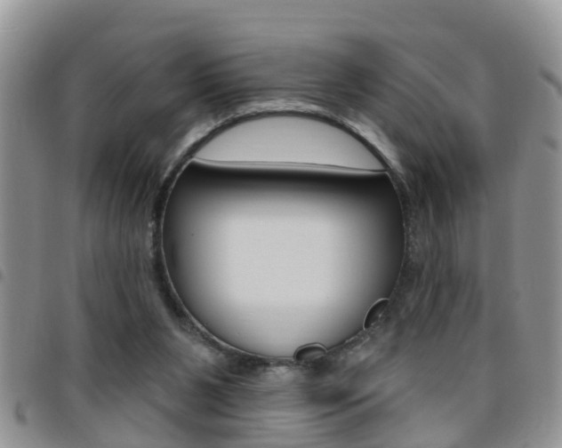 X0000096190111200801181018