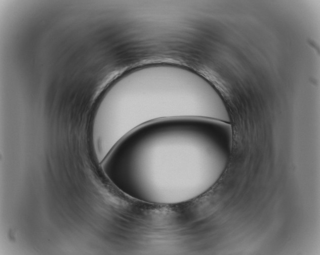 X0000096190112200801181018