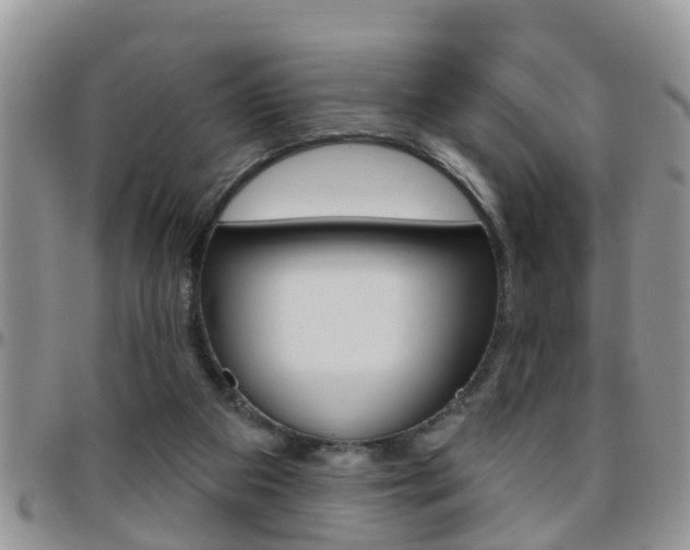 X0000096190113200801181018
