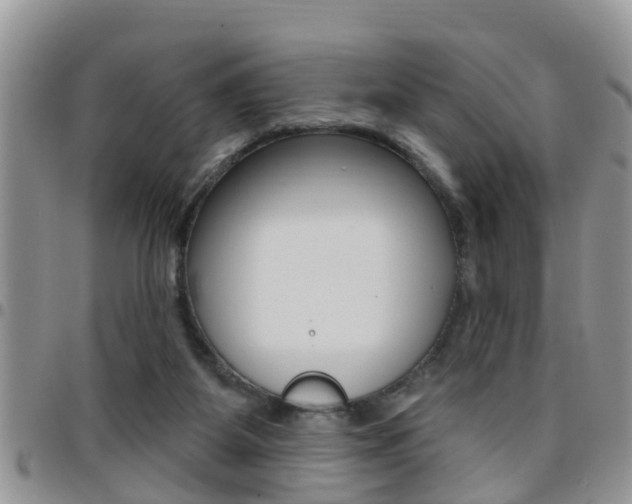 X0000096190115200801181017