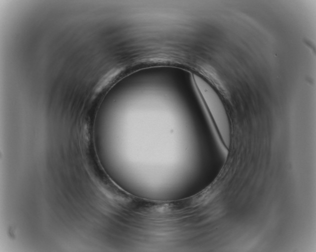 X0000096190116200801181017